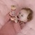 LD7076 - Rain Rattle - Pink (3).jpg