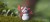56_snowman_03_jpg.jpg