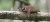 32_sloth_05_jpg.jpg