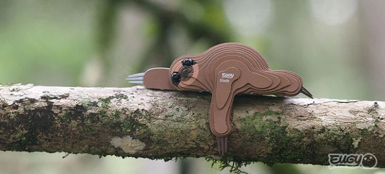 32_sloth_05_jpg.jpg