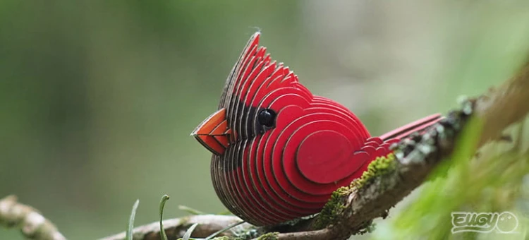 068_cardinal_3_JPG.jpg