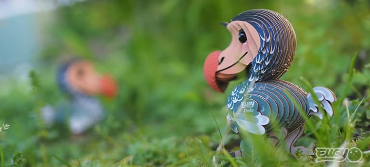 100_dodo_03_jpg.jpg
