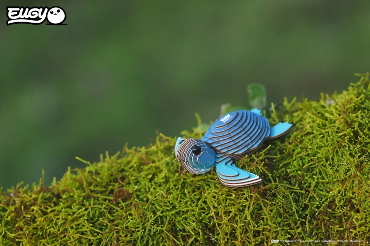 38_turtle_03.JPG