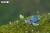 38_turtle_04.JPG