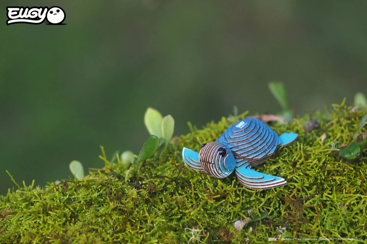 38_turtle_04.JPG