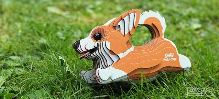 080_welshi_corgi_03_jpg.jpg