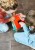 83263-5414834832631-LILLIPUTIENS-Drewniany-domek-manipulacyjny-z-zamkami-Lisek-Wlamywacz-3-lata-plus-(26).jpg