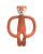 animal-fox01.jpg