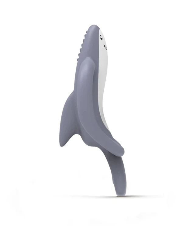 animal-shark03.jpg