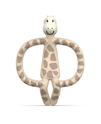 animal-giraffe01.jpg