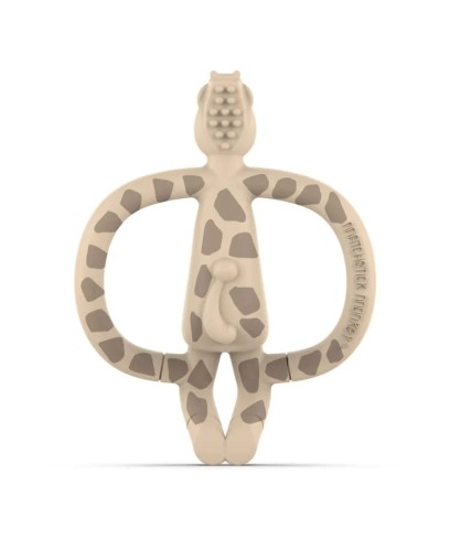 animal-giraffe02.jpg