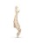 animal-giraffe03.jpg