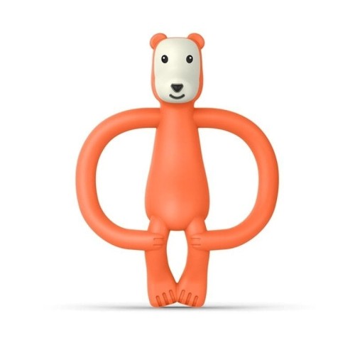 animal-bear01.jpg