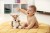 cloud-b-lovelight-buddies-finley-fawn-szumiaca-sarenka-z-czujnikiem-ruchu-i-pozytywka_23005_7.jpg