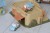 dab66445df7b24aef6229ac84969f621