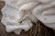 bamboo_blanket_80x100_light_grey_-_feather-8.jpg