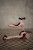 96270-4897033962704-SCOOTANDRIDE-Highwaykick-1-2w1-Jezdzik-i-hulajnoga-1-5-lat-Rose-lifestyle-(4).jpg