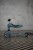 96271-4897033962711-SCOOTANDRIDE-Highwaykick-1-2w1-Jezdzik-i-hulajnoga-1-5-lat-Steel-lifestyle-(4).jpg
