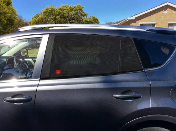 car+kids+shade.jpg