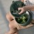 citron-termos-obiadowy-400ml-olive-green (4).jpg