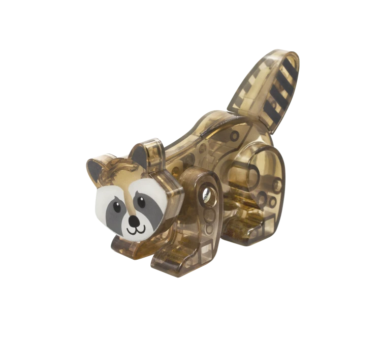 MT-Forest-Raccoon-f.png