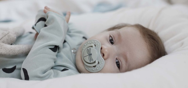Smoczek uspokajający silikonowy Botanic Boy 18m+ Lovi