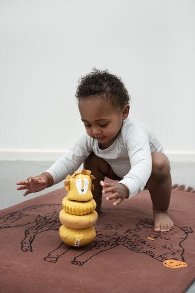 Lew Wańka - Wstańka Piramida Trixie Baby