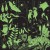 pol_pl_Mudpuppy-Puzzle-rodzinne-swiecace-w-ciemnosci-Dzungla-500-elementow-8-5819_4.jpg