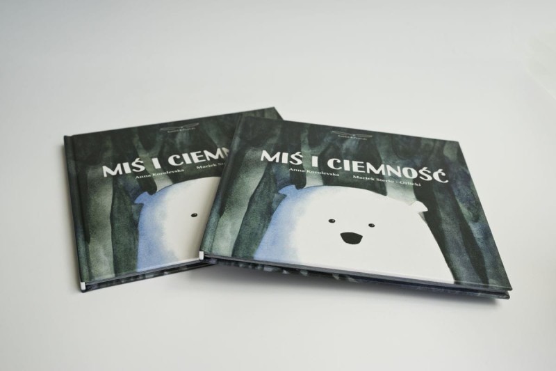 Miś i Ciemność Książka dla Dzieci Rabbit & Friends