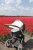 fe435972192441a76fbecfdd8c084e0d