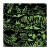 MP78728-9780735378728-Mudpuppy-Puzzle-rodzinne-swiecace-w-ciemnosci-Drapiezniki-500-elementow-8+(6).jpg