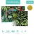 pol_pl_Mudpuppy-Puzzle-swiecace-w-ciemnosci-Zaby-i-jaszczurki-100-elementow-5-6272_2.jpg