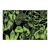 pol_pl_Mudpuppy-Puzzle-swiecace-w-ciemnosci-Zaby-i-jaszczurki-100-elementow-5-6272_3.jpg