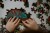 pol_pl_Mudpuppy-Puzzle-swiecace-w-ciemnosci-Zaby-i-jaszczurki-100-elementow-5-6272_9.jpg