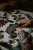 pol_pl_Mudpuppy-Puzzle-swiecace-w-ciemnosci-Zaby-i-jaszczurki-100-elementow-5-6272_10.jpg