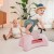 pol_pl_SCOOTANDRIDE-My-First-Ewolucyjny-jezdzik-pchacz-3w1-6-m-Rose-8966_5.jpg