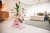 pol_pl_SCOOTANDRIDE-My-First-Ewolucyjny-jezdzik-pchacz-3w1-6-m-Rose-8966_22.jpg