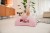 pol_pl_SCOOTANDRIDE-My-First-Ewolucyjny-jezdzik-pchacz-3w1-6-m-Rose-8966_54.jpg