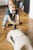 pol_pl_SCOOTANDRIDE-My-First-Ewolucyjny-jezdzik-pchacz-3w1-6-m-Sand-8967_32.jpg