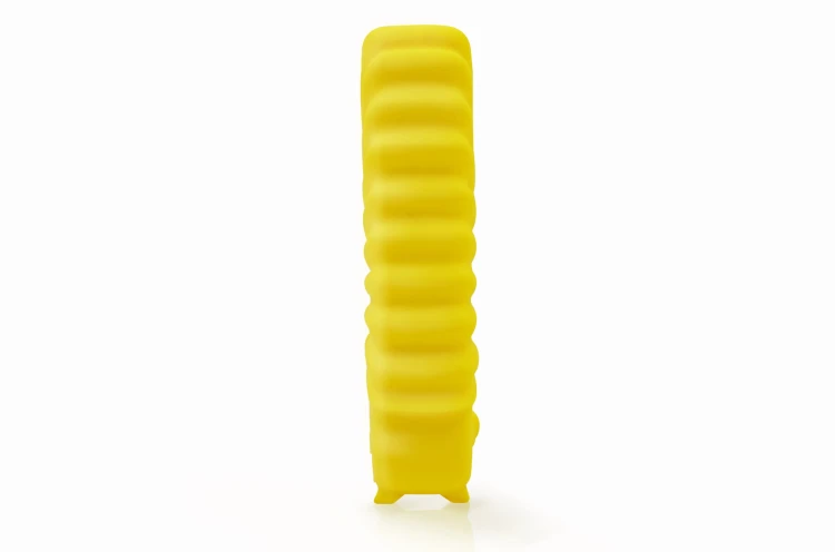 yellow lion3.JPG
