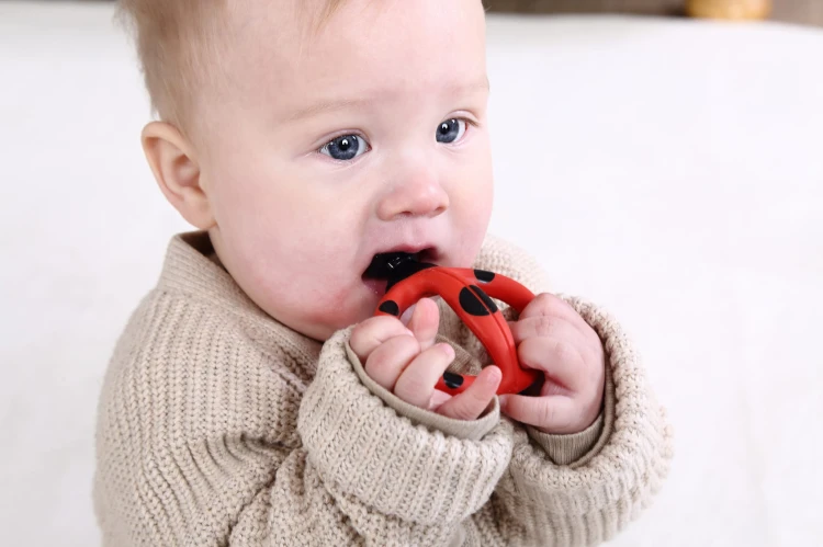8114 Dori Ladybug Baby U-shaped Teething Toothbrush 4.jpg