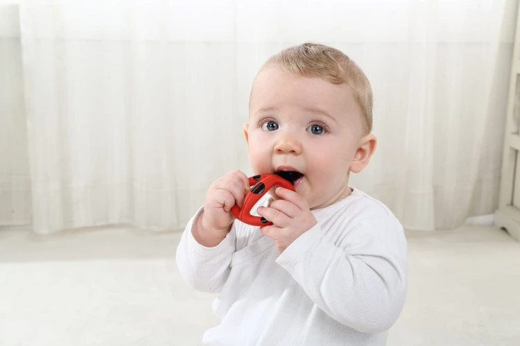 8114 Dori Ladybug Baby U-shaped Teething Toothbrush 9.jpg