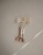FRIGG_flatlays-14.jpg