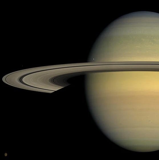 Pluszowa Planeta - Saturn Celestial Buddies