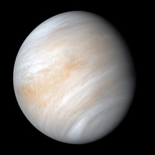 Pluszowa Planeta - Wenus Celestial Buddies