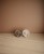 frigg_moon-rope-53.jpg