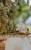 1R0A6666.jpg