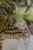 1R0A6668.jpg