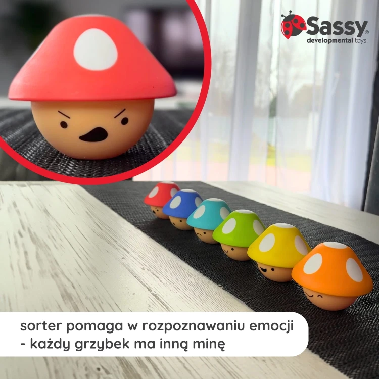 4-infografika-sassy-sorter-dla-dzieci-psotne-grzybki.jpg