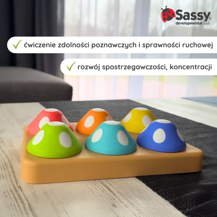 6-infografika-sassy-sorter-dla-dzieci-psotne-grzybki.jpg